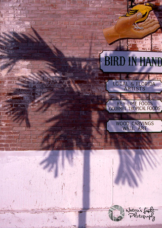 Bird in Hand - Key West