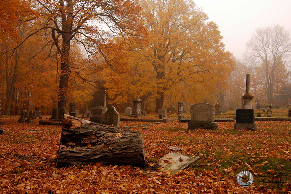 Salisbury Cemetery - Amesbury, MA