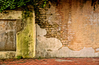 Savannah Wall #4