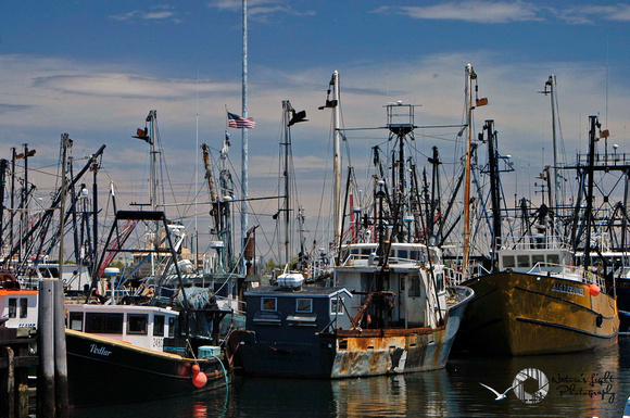 The Harbor - New Bedford, MA